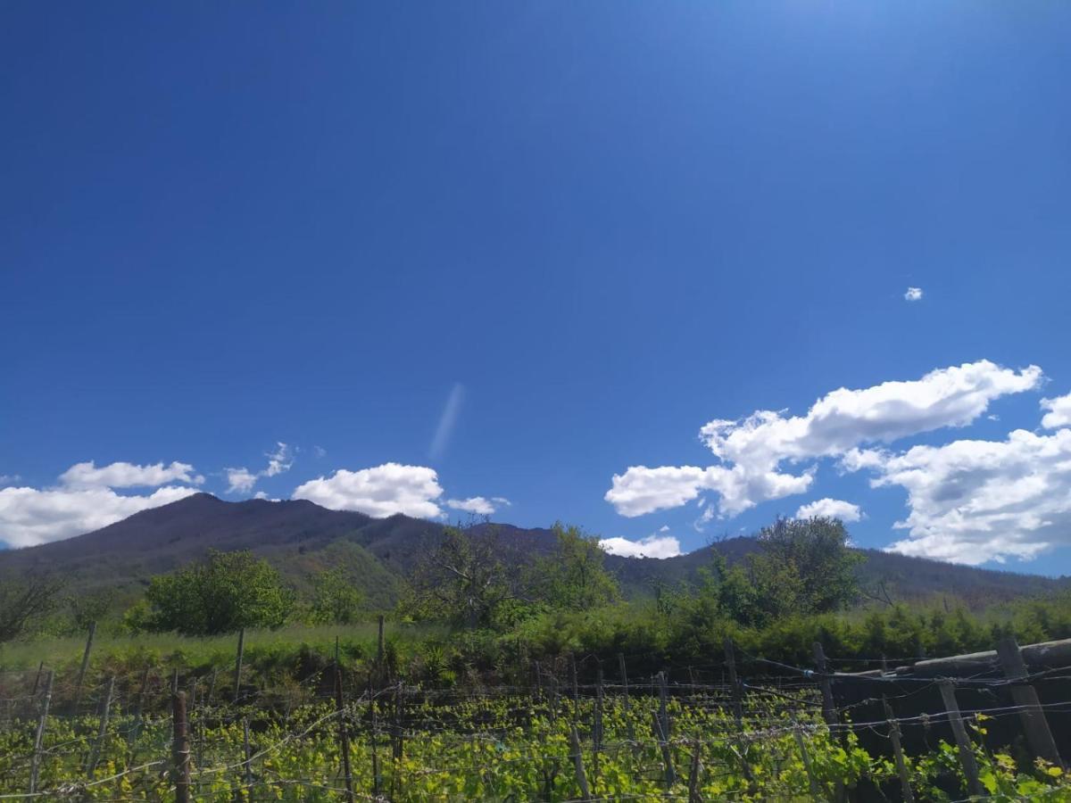 L'Orto Del Vesuvio Di Laura Guidone Bed & Breakfast ซาน เซบาสเตียโน อัล เวซูวิโอ ภายนอก รูปภาพ